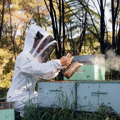 Kānuka honey