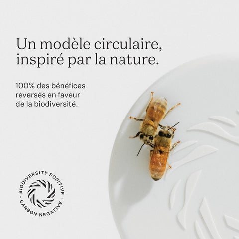 Mānuka Honig UMF™ 10+ / MGO 263+